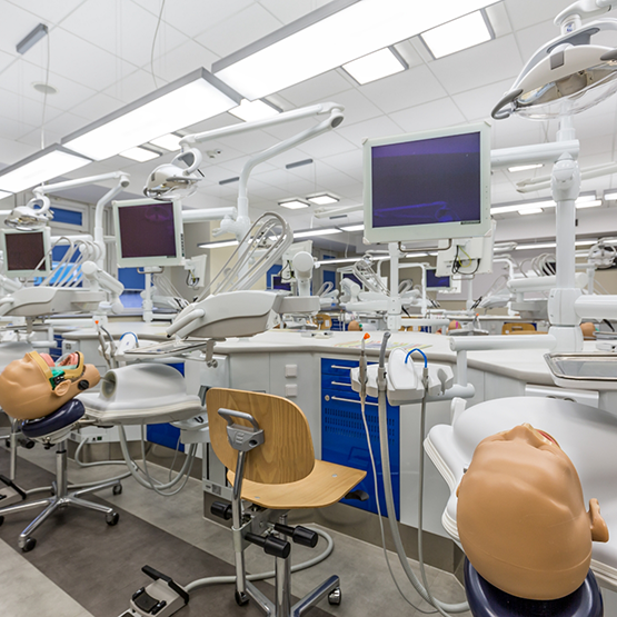 Rows of dental treatment stations with dummies for practice